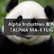 Alpha Industries 发布「ALPHA MA-1 FLIGHT JACKET JAPAN SPEC」系列型录（图3）
