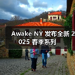 Awake NY 发布全新 2025 春季系列（图4）
