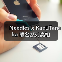Needles x Kae Tanaka 联名系列亮相（图2）
