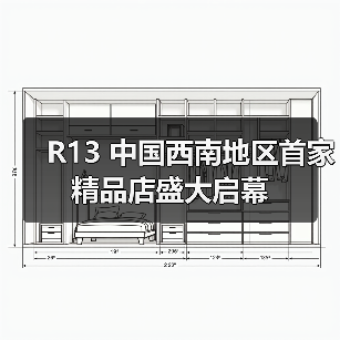 R13 中国西南地区首家精品店盛大启幕