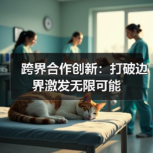 跨界合作创新:打破边界激发无限可能(图4) 跨界合作创新:打破边界激发无限可能(图4)
