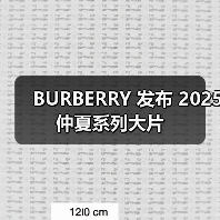 BURBERRY 发布 2025 仲夏系列大片（图2）