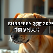 BURBERRY 发布 2025 仲夏系列大片（图3）