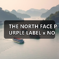 THE NORTH FACE PURPLE LABEL x NOMA t.d. 艺术联名发布（图3）