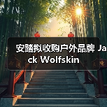 安踏拟收购户外品牌 Jack Wolfskin（图2）