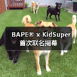 BAPE® x KidSuper 首次联名揭幕