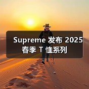 Supreme 发布 2025 春季 T 恤系列