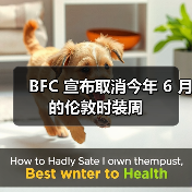 BFC 宣布取消今年 6 月的伦敦时装周（图4）