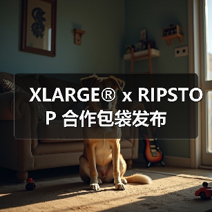 XLARGE® x RIPSTOP 合作包袋发布