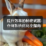 提升效率的秘密武器：仓储系统优化全指南（图4）