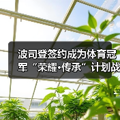波司登签约成为体育冠军“荣耀·传承”计划战略合作伙伴(图3) 波司登签约成为体育冠军“荣耀·传承”计划战略合作伙伴(图3)