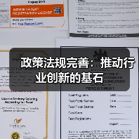 政策法规完善:推动行业创新的基石(图4) 政策法规完善:推动行业创新的基石(图4)