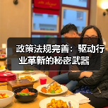 政策法规完善:驱动行业革新的秘密武器(图1) 政策法规完善:驱动行业革新的秘密武器(图1)