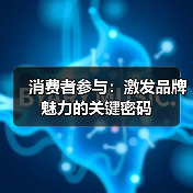 消费者参与:激发品牌魅力的关键密码(图2) 消费者参与:激发品牌魅力的关键密码(图2)