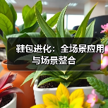 鞋包进化:全场景应用与场景整合(图2) 鞋包进化:全场景应用与场景整合(图2)