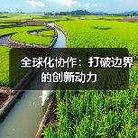 全球化协作:打破边界的创新动力(图1) 全球化协作:打破边界的创新动力(图1)