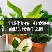 全球化协作：打破壁垒的新时代合作之道（图2）