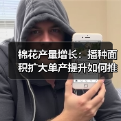 棉花产量增长：播种面积扩大单产提升如何推动？（图3）