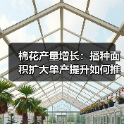 棉花产量增长：播种面积扩大单产提升如何推动？（图4）
