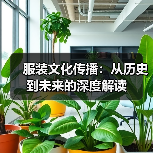 服装文化传播：从历史到未来的深度解读
