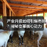 产业升级如何引爆市场?揭秘变革核心动力(图2) 产业升级如何引爆市场?揭秘变革核心动力(图2)