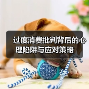 过度消费批判背后的心理陷阱与应对策略（图4）