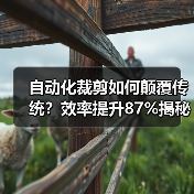 自动化裁剪如何颠覆传统？效率提升87%揭秘服装行业变革密码（图2）