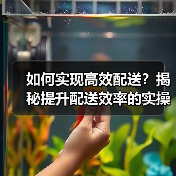 如何实现高效配送？揭秘提升配送效率的实操技巧